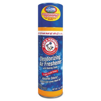 CDC3320094170CT - Arm & Hammer Deodorizing Air Freshener