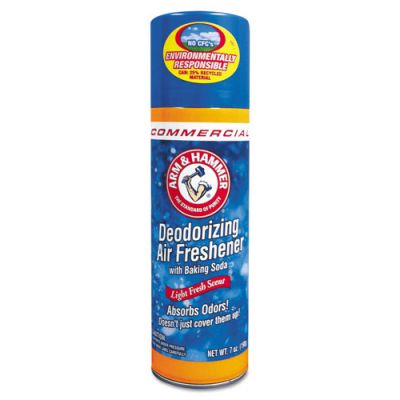 CDC3320094170 - Arm & Hammer Deodorizing Air Freshner