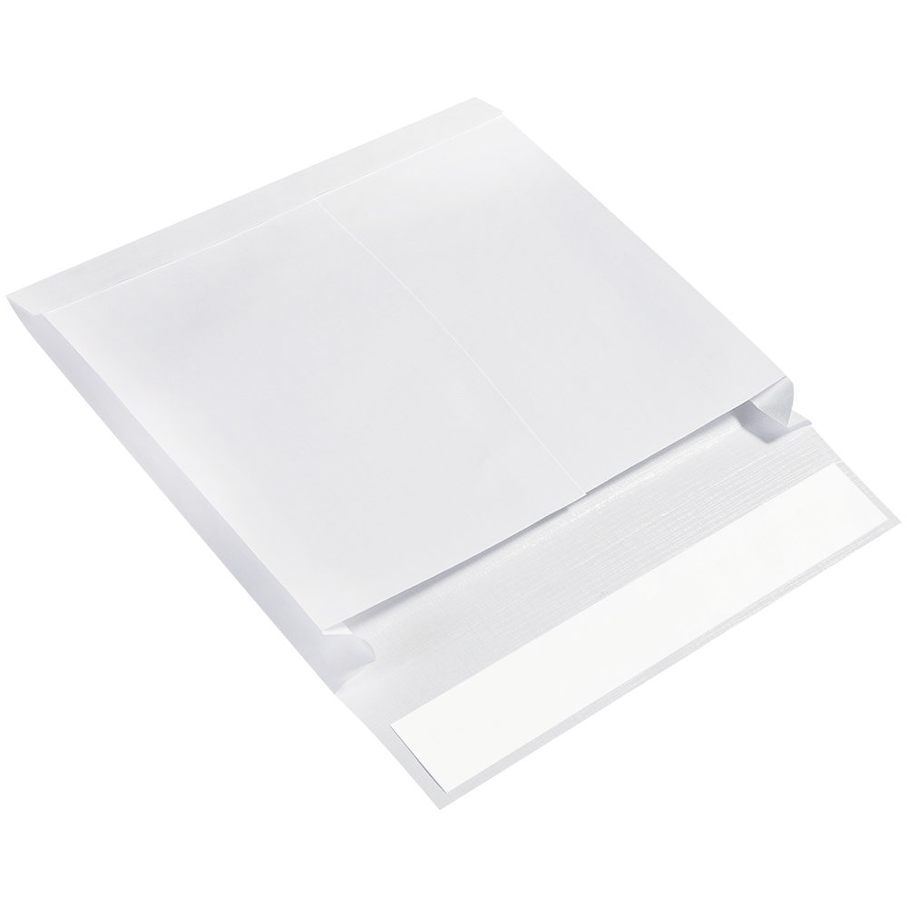 10 x 13 x 2" Expandable ShipLite Envelopes