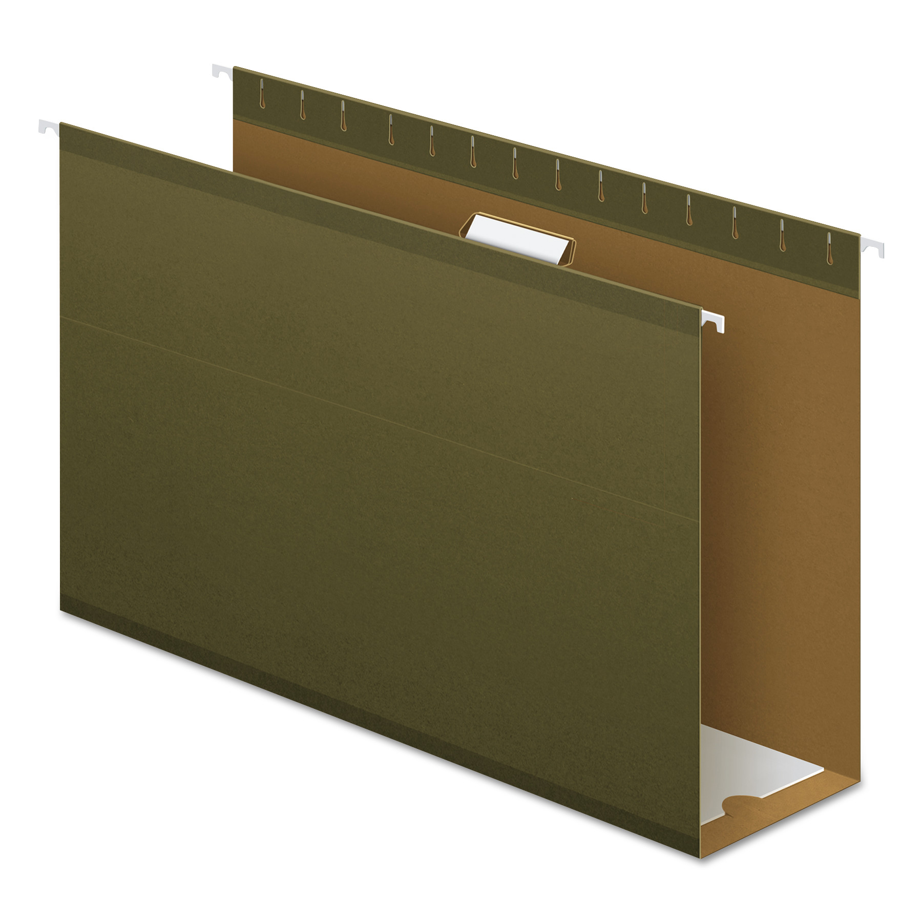 Pendaflex Extra Capacity Reinforced Hanging File Folders with Box