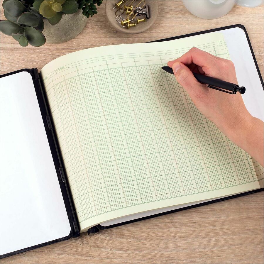 Wilson Jones Columnar Ruled Sheets, 4-Hole, 30 Lines, 20 Columns, 9 1/4 ...