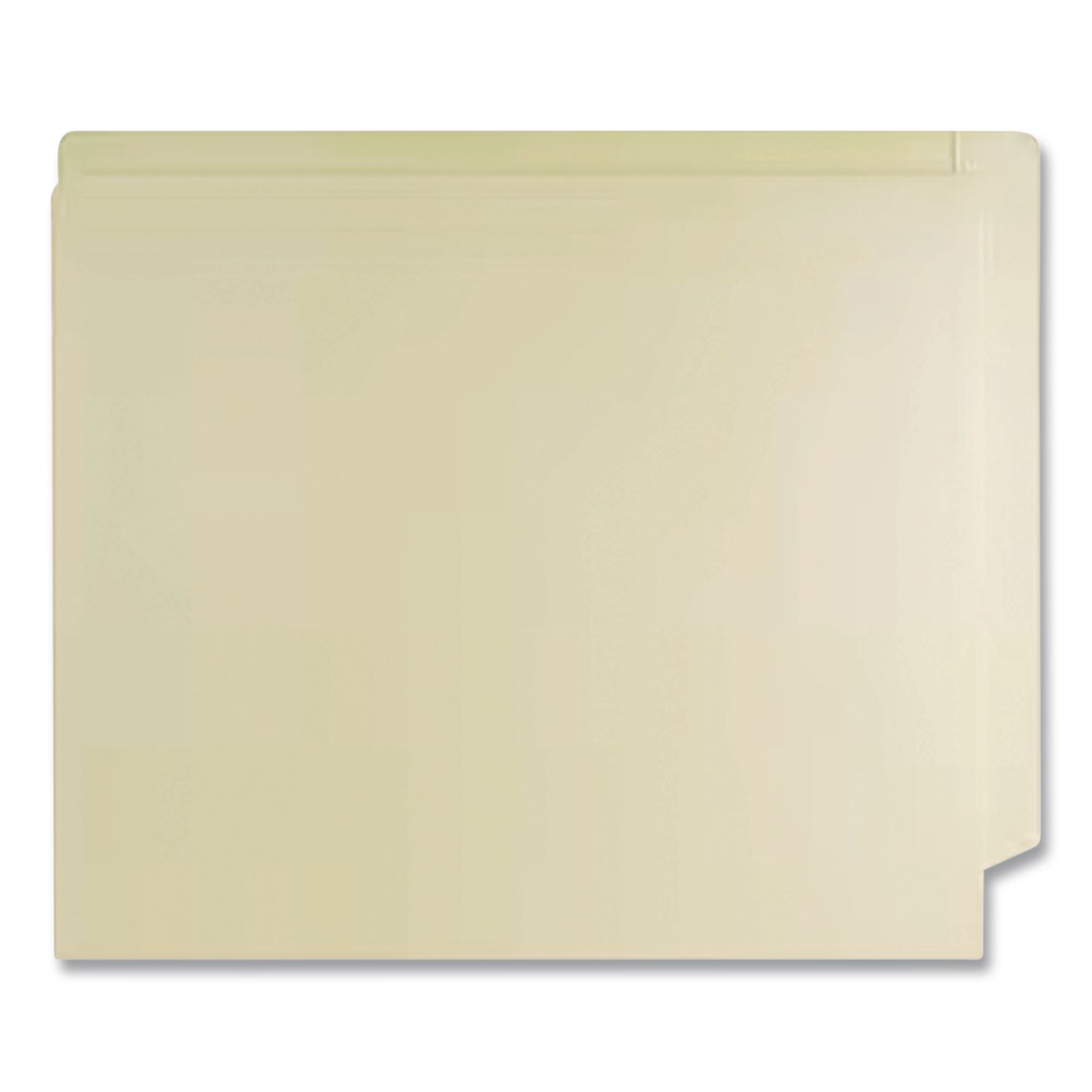 Medical Arts Press End Tab Fastener Folders with Embossed Labeling ...