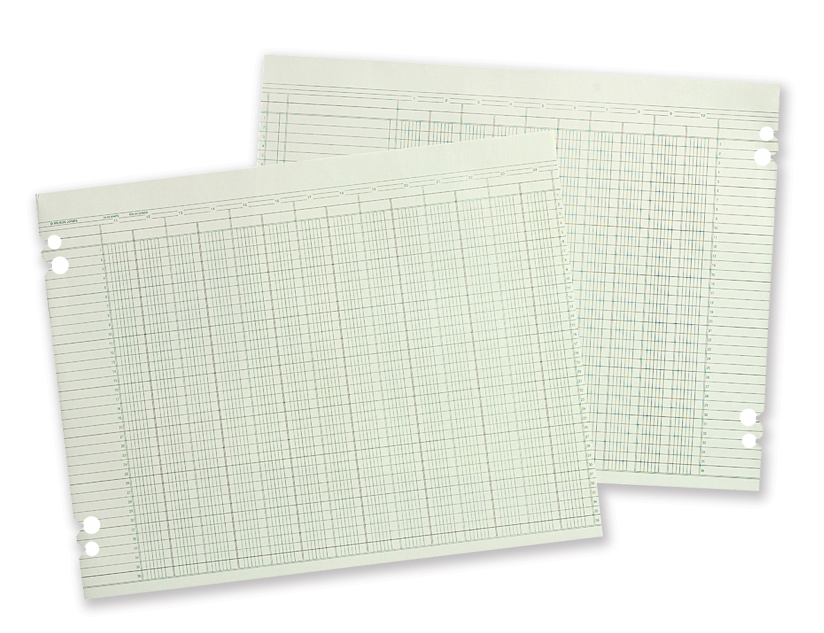 Wilson Jones Regular Ledger Sheets 16 Columns