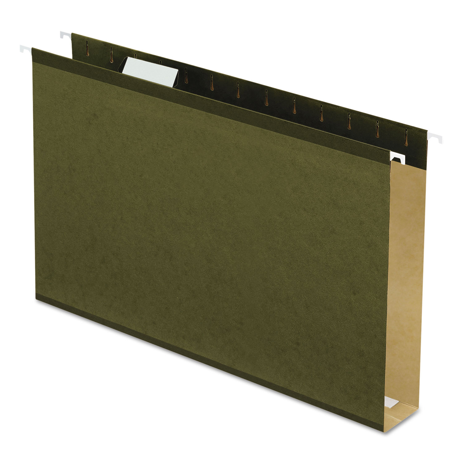 Pendaflex Extra Capacity Reinforced Hanging File Folders with Box