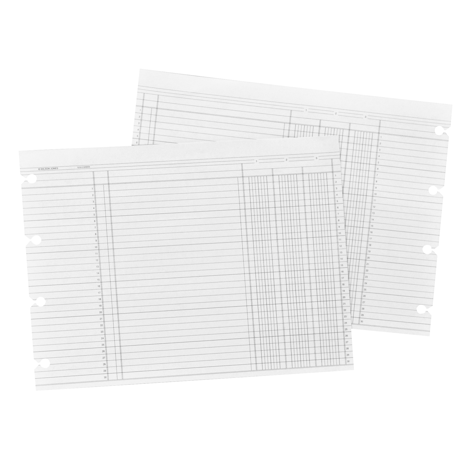 Wilson Jones Balance Ledger Columnar Sheet