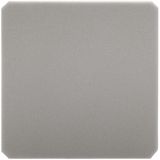 Steady Betty - Here Is A Great Overview Video Of The New