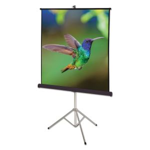 Displays & Digital Projectors