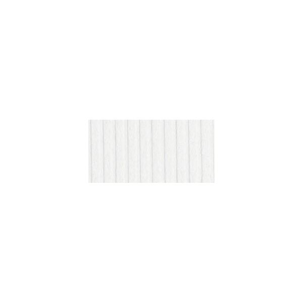 NOTM292849 Bazzill Eggshell Cardstock