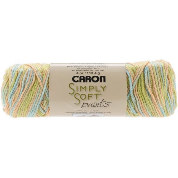 NOTM325442 Caron Simply Soft Yarn