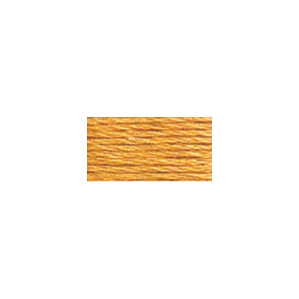 NOTM013493 DMC Six Strand Embroidery Floss (3827)