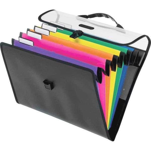 PFX52891 Pendaflex Desk Free Hanging 6-Pocket Organizer w/Case, 1/3 Tab, Letter, Poly, Asstorted