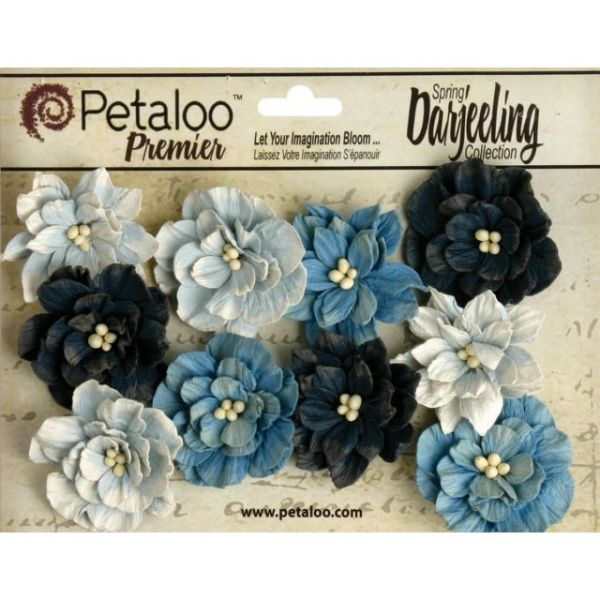 NOTM385406 Darjeeling Teastained Dahlia Flowers 10/Pkg