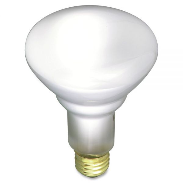 SDNS3408CT Satco 65-watt BR30 Incandescent Floodlight
