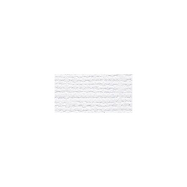 NOTM351058 Bazzill Avalanche Cardstock