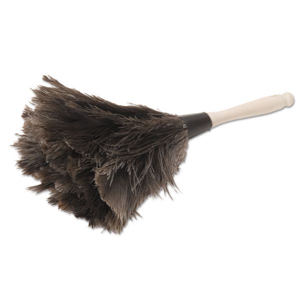 BWK12GY Boardwalk Professional Ostrich Feather Duster, 4" Handle