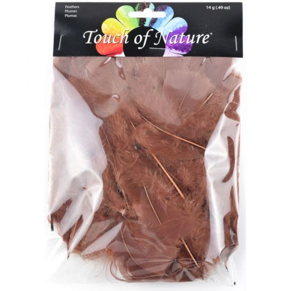 NOTM430694 Flat Turkey Feathers