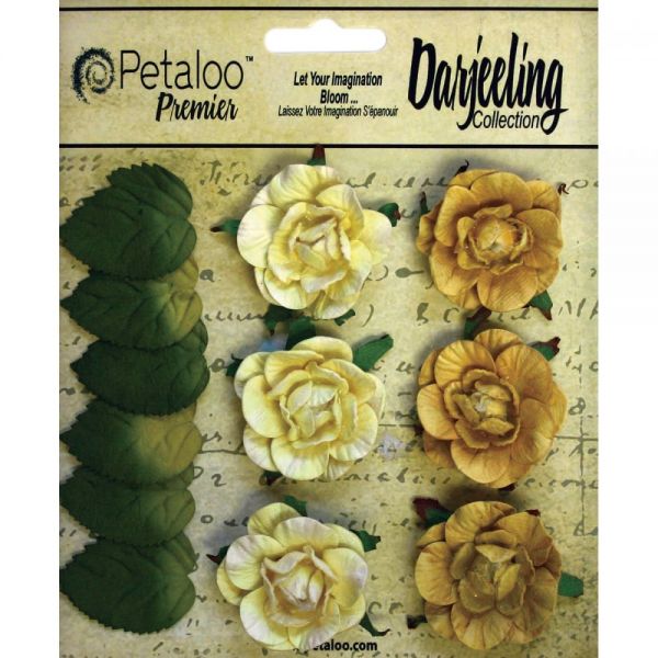 NOTM291276 Darjeeling Garden Rosettes 1.5" 6/Pkg