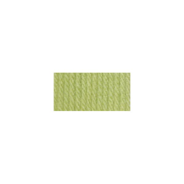 NOTM393996 Bernat Super Value Yarn - Soft Fern