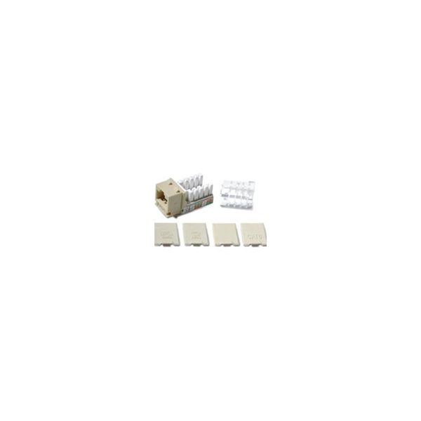 SYNX1776893 C2G Cat6 RJ45 UTP Keystone Jack - Ivory