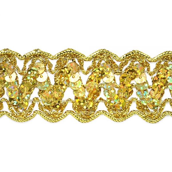 NOTM442848 Nikki Sequin Metallic Braid Trim 1-1/4"X9'
