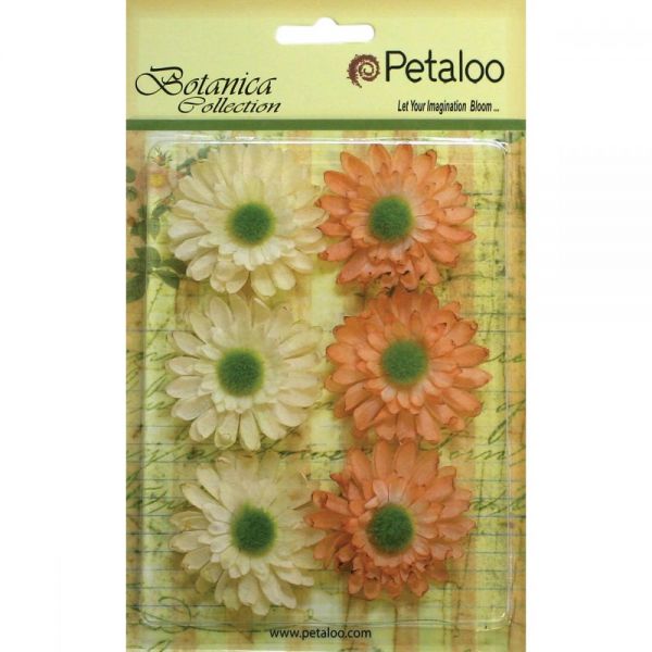 NOTM291250 Botanica Gerbera Daisies 1.75" 6/Pkg
