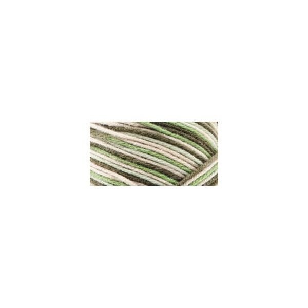 NOTM489349 Bernat Super Value Yarn - Hiking
