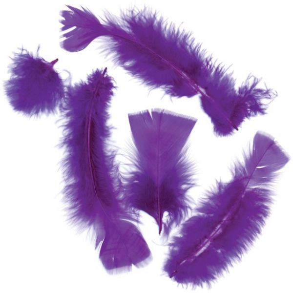 NOTM275160 Flat Turkey Feathers