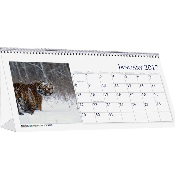 HOD3689 House of Doolittle Wildlife Photos Monthly Desktop Tent Calendar