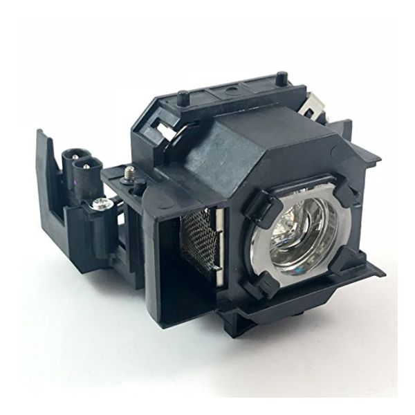 SYNX3006037 Image 1