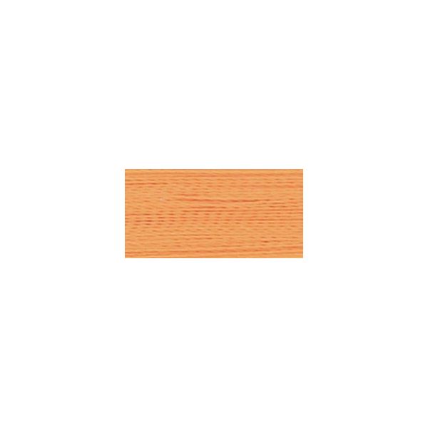 NOTM020582 Robison Anton Rayon Super Strength Thread