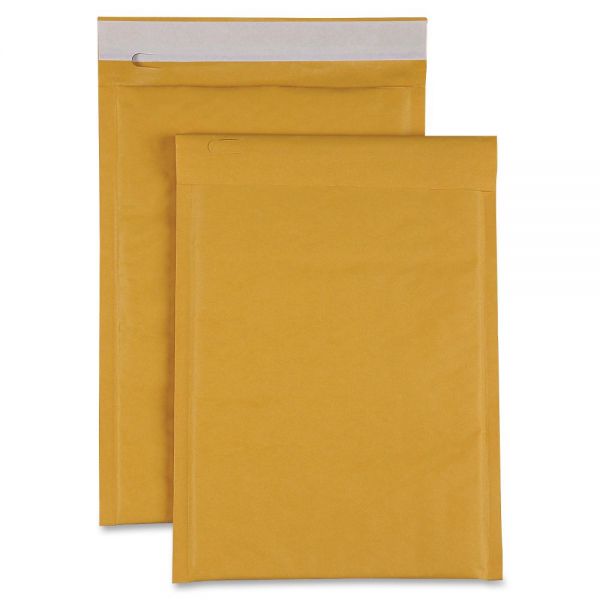 SPR74979 Sparco Size 00 Bubble Cushioned Mailers