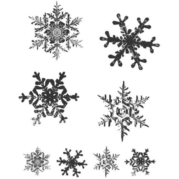 NOTM461167 Tim Holtz Cling Rubber Stamp Set 7"X8.5"