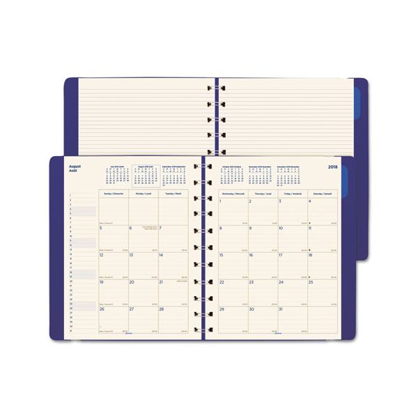 REDC1811002 Filofax Monthly Planner, 10 3/4 x 8 1/2, Blue, 2018-2019