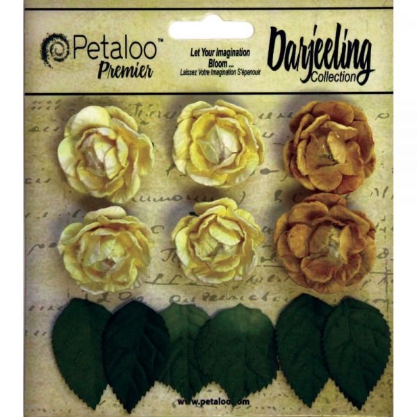 NOTM291284 Darjeeling Mini Garden Rosettes 1" 6/Pkg