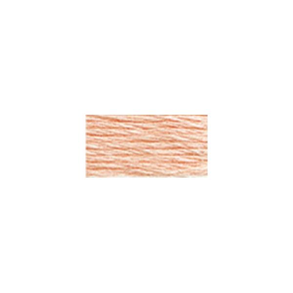 NOTM015816 DMC Six Strand Embroidery Floss (967)