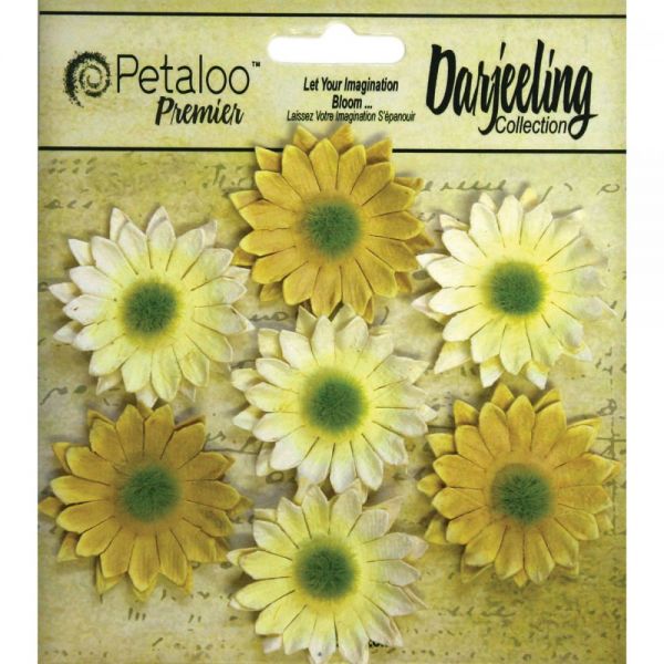 NOTM291342 Darjeeling Mini Daisies 1.25" 7/Pkg