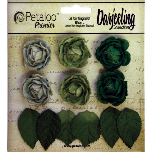 NOTM291289 Darjeeling Mini Garden Rosettes 1" 6/Pkg
