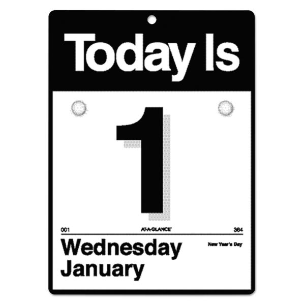AAGK100 AT-A-GLANCE "Today Is" Wall Calendar, 6 5/8 x 9 1/8, White, 2018