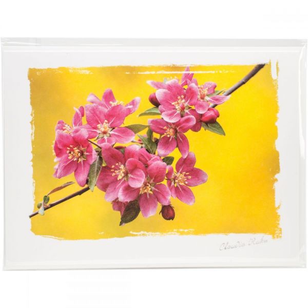 NOTM362916 Artist Series Photo Card W/Envelope