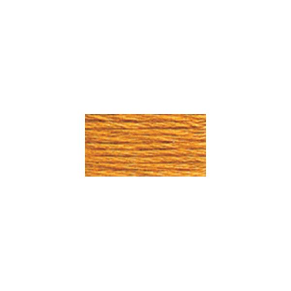 NOTM010562 DMC Six Strand Embroidery Floss (977)