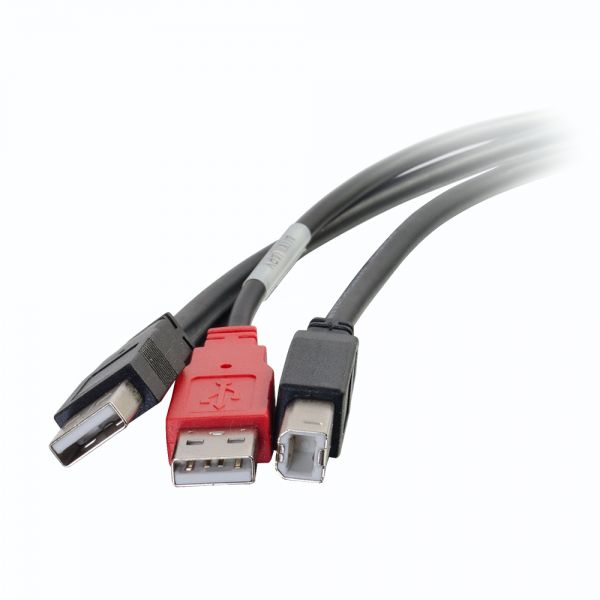 SYNX2034456 C2G 6ft USB 2.0 One B Male to Two A Male Y-Cable
