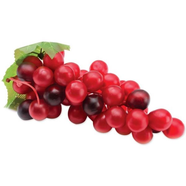 NOTM157272 Design It Simple Decorative Fruit