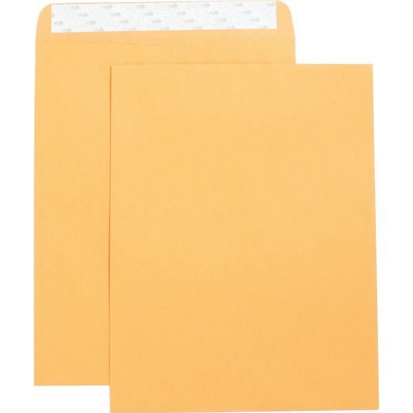 Business Source 10" x 13" Catalog Envelopes