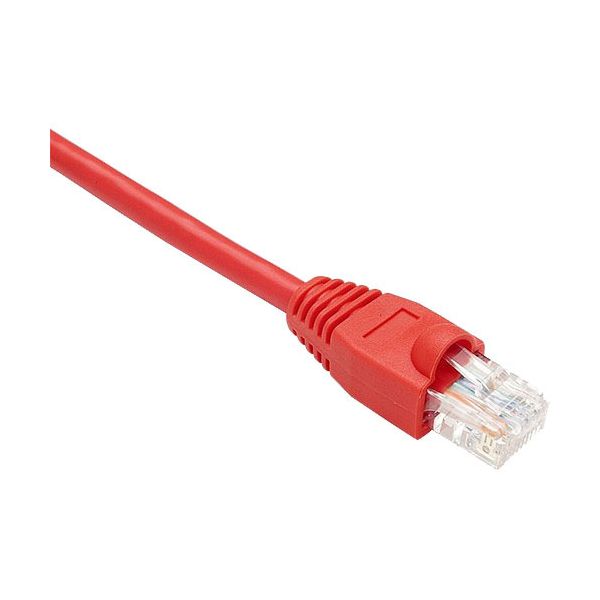 SYNX2458020 Oncore Power Cat.6 UTP Patch Cable