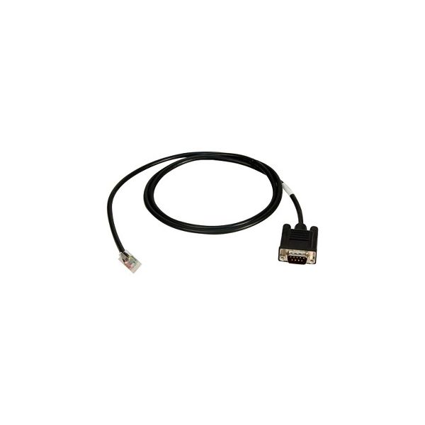 SYNX1045335 Digi RJ45 to DB9 Cable