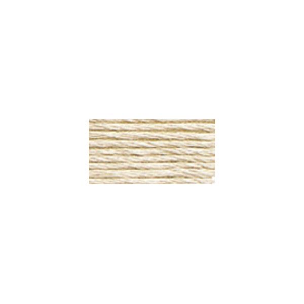 NOTM010581 DMC Six Strand Embroidery Floss (3033)