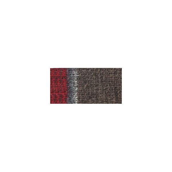 NOTM489321 Patons Kroy Socks Yarn - Gray Brown