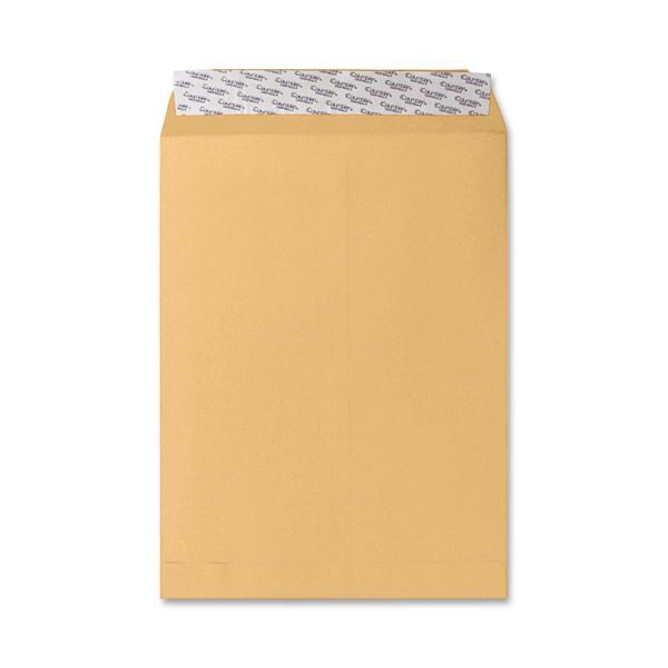 SPR19810 Sparco 9" x 12" Catalog Envelopes