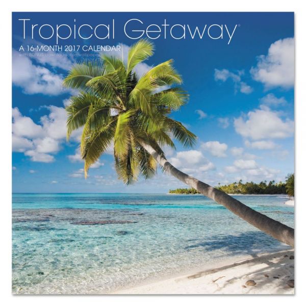 AAGLML71610 AT-A-GLANCE Landmark Tropical Getaway Wall Calendar, 12 x 11, 2018