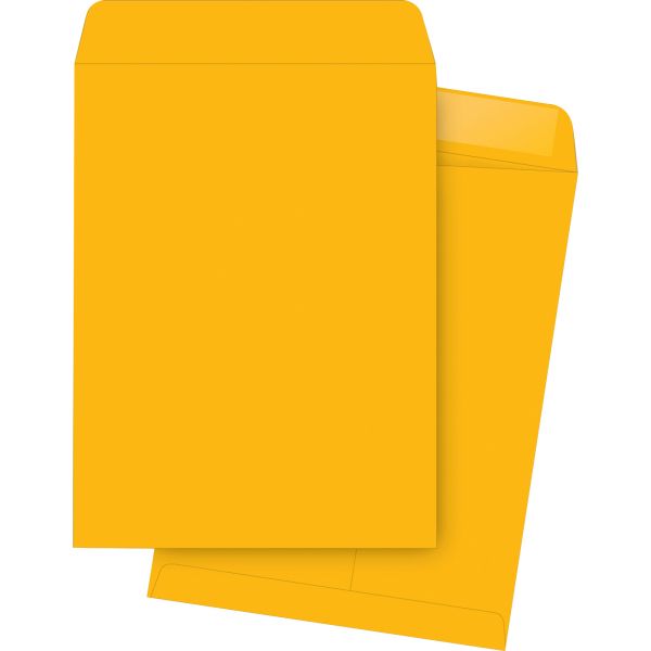 BSN42101 Business Source 10" x 13" Catalog Envelopes